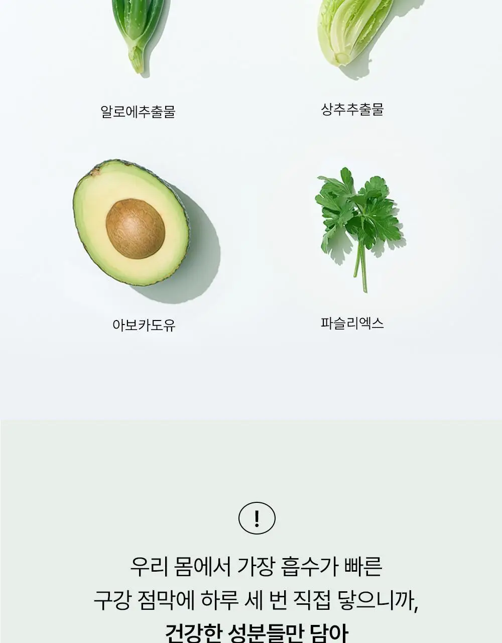 [치약4개분량]하이퍼 샐러드 펌핑치약 350g 상세페이지 21